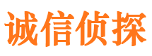 遂宁市私家侦探